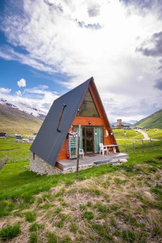 a small house with a black roof in a field at MOUNTAIN CABIN in Ushguli