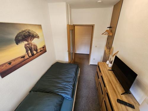 Un televizor și/sau centru de divertisment la Apartment am Schlosspark