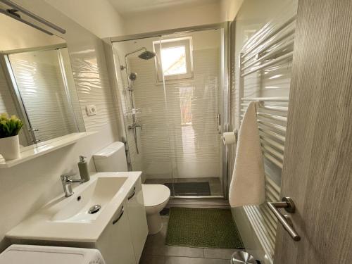 a bathroom with a sink and a toilet and a shower at Apartment Trsina in Rakalj