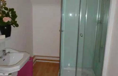 Appartement 3 étoiles - Parc aquatique - eeeaafにあるバスルーム