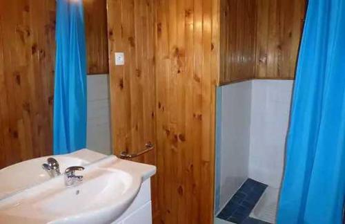 Saint-Honoré-les-BainsにあるAppartement 3 étoiles - Parc aquatique - eeeaafのバスルーム(シンク、青いシャワーカーテン付)