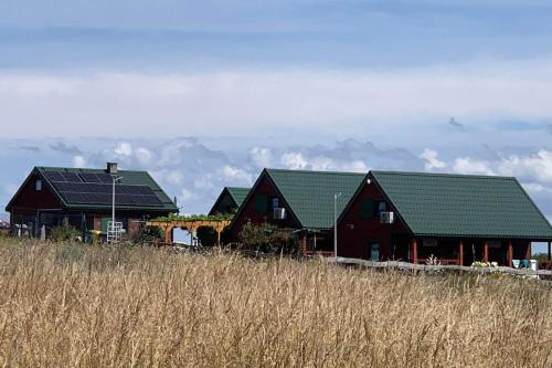 two houses with green roofs on top of a field at Domki Marylkowo in Rusinowo