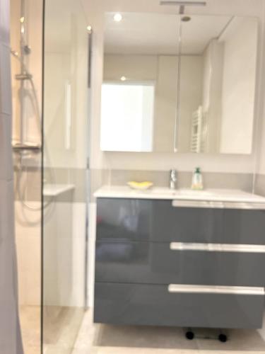 une salle de bain avec un lavabo et une douche dans l'établissement Chez Jo Duplex Terrasse vue mer Hyères, à Hyères