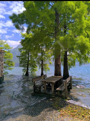 a wooden picnic table next to trees and water at Casa Caterina - Riva di Solto - Iseo Lake in Riva di Solto
