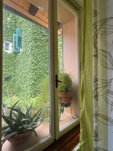 a window with a view of a plant at B&b Carducci in Gorizia