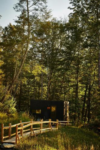 a house in the middle of a forest with a fence at Postcard Cabins Chattahoochee in Suches