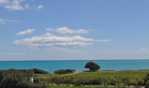 a field with a tree and the ocean in the background at Villa Imerti Kiotari in Kiotari