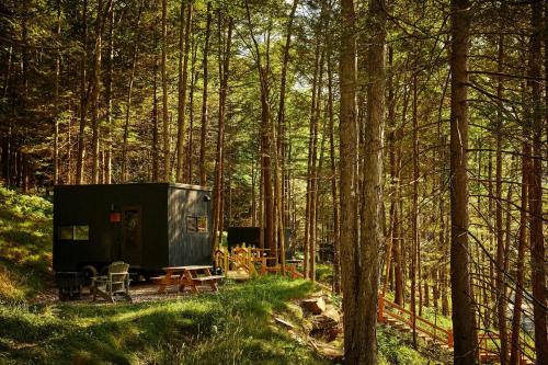 Zahrada ubytování Postcard Cabins Shenandoah North