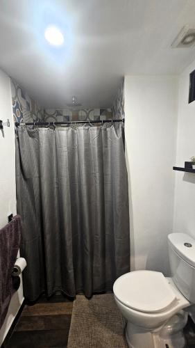 a bathroom with a shower curtain and a toilet at A29 SUITE BLACK MAX para 1 a 4 personas, ESPECIALISTAS CORTAS, MEDIANAS, LARGAS ESTANCIAS, en IZCALLI TEPOTZOTLAN perfecto para Familias, Turistas, Contratistas, Estudiantes, Empresas A sólo 5 min Izcalli 5 min Esmeralda 20 min Satélite 25 min AIFA in Cuautitlán Izcalli