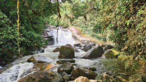Landskap semula jadi dekat dengan homestay