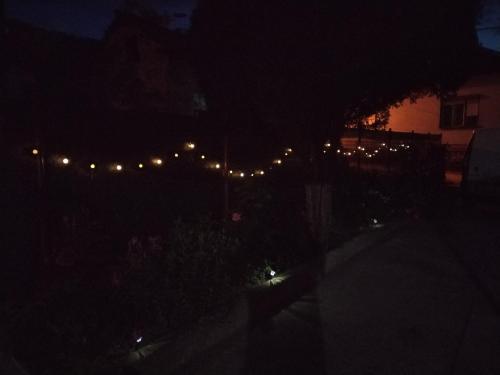 a view of a street at night with lights at Family House in Golubac