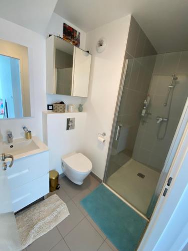 une salle de bain avec une douche, des toilettes et un lavabo dans l'établissement Magnifique duplex avec terrasse, à Romainville