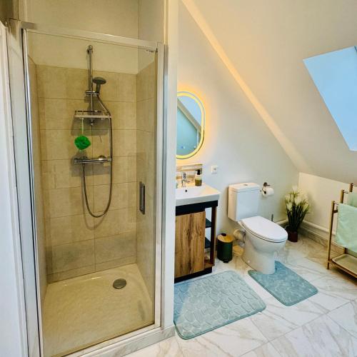 une salle de bain avec douche et toilettes dans l'établissement Vaste studio au cœur de Solesmes, à Solesmes