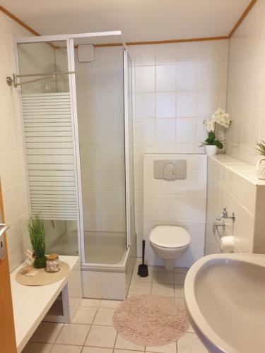 a bathroom with a shower and a toilet and a sink at Traumpfade II in Boppard