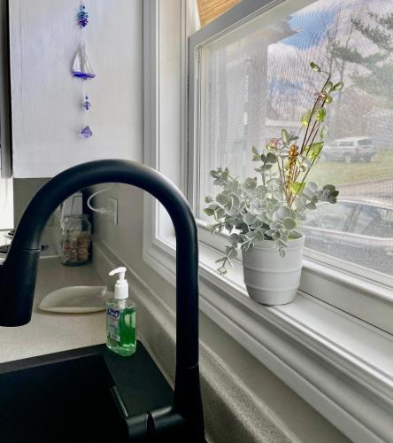 a sink with a faucet and a window with a plant at Bernice Mae's Ocean View in Lewisporte