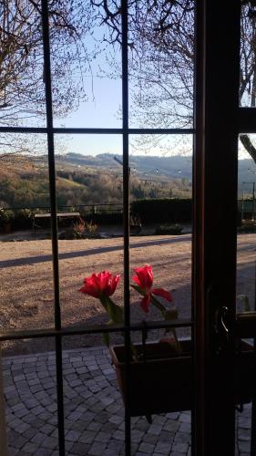 two red flowers sitting in a window sill at Cascina Sant'Eufemia in Sinio