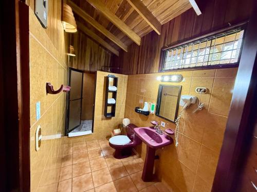 a bathroom with a sink and a toilet at Hotel La Pradera del Arenal in Fortuna