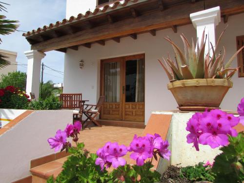 a house with a potted plant on a wall with purple flowers at Apartamentos Ferrer in Es Figueral Beach