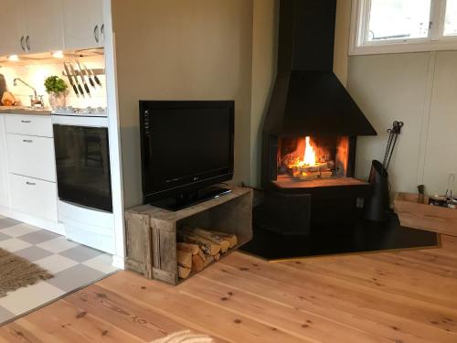 a living room with a television and a fireplace at Hus Bjöksjöblick in Hällefors