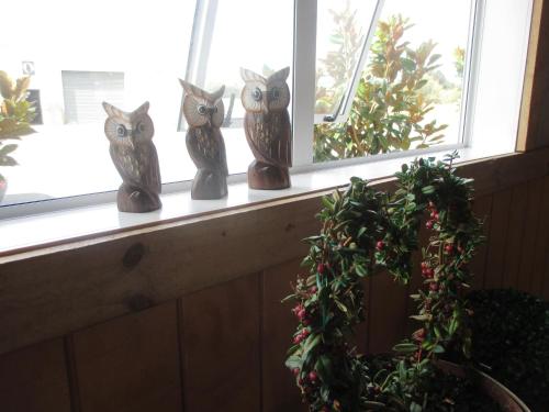 PiopioにあるFatOwl Motel, Bar & Eateryのギャラリーの写真