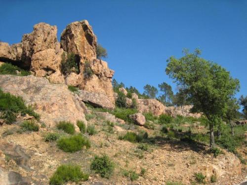 a group of rocks and a tree on a hill at Village House in France with Private Pool in Bagnols-en-Forêt