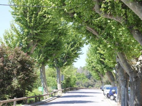 a tree lined street with cars parked on the road at Village House in France with Private Pool in Bagnols-en-Forêt