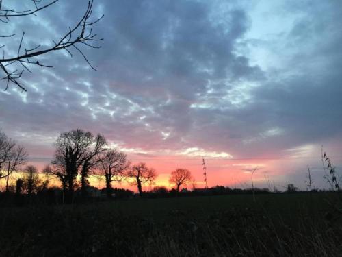 a sunset in a field with trees in the foreground at City View Family Retreat in Isigny-sur-Mer