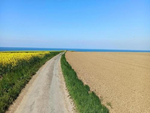 a dirt road in the middle of a field at Bronte s Coastal Retreat in Tracy-sur-Mer