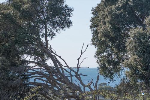 a view of the ocean from between two trees at Bayview Cottage - Serene Escape between Beach & Bay in Blairgowrie