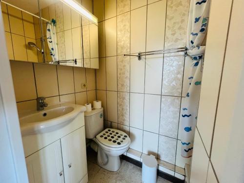une salle de bain avec un lavabo, des toilettes et une douche dans l'établissement Argelès: Appartement climatisé proche plage avec balcon, 4 couchages - FR-1-309-386, à Argelès-sur-Mer