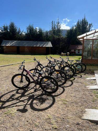 Jízda na kole v ubytování RESORT ALAPA nebo okolí