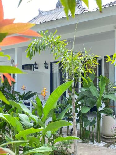 Un jardín fuera de Lovy's Gili Air