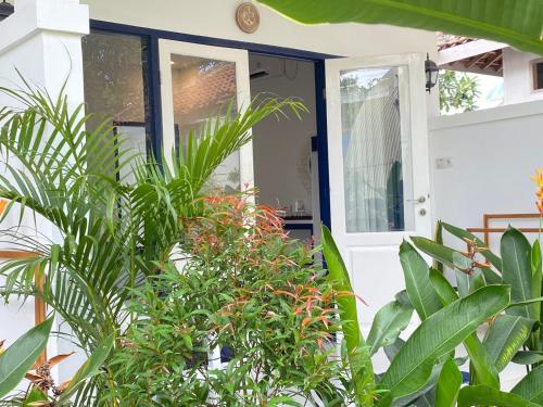 Un jardín fuera de Lovy's Gili Air