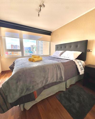 a bedroom with a large bed with a large window at Centro Temuco 4 in Temuco