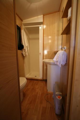 a small bathroom with a toilet and a sink at Bungalows Granja Escuela Arlanzón in Arlanzón
