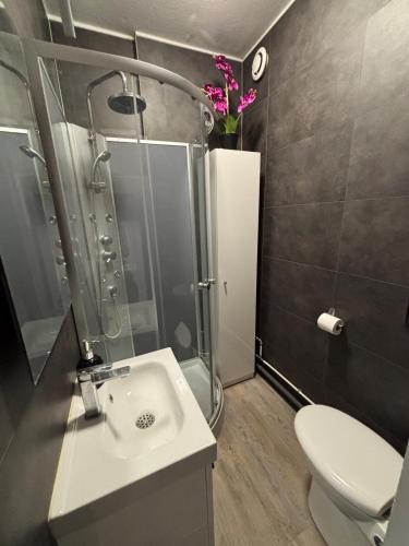 une salle de bain avec une douche, un lavabo et des toilettes dans l'établissement Avenue de Champagne 1 Chambre, à Épernay