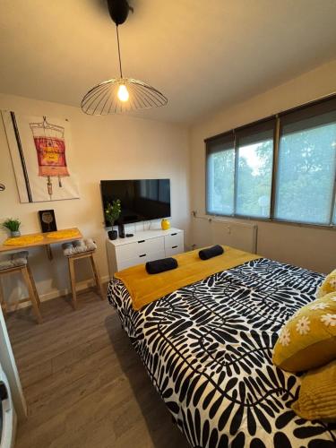 une chambre avec un grand lit et une télévision dans l'établissement Avenue de Champagne 1 Chambre, à Épernay