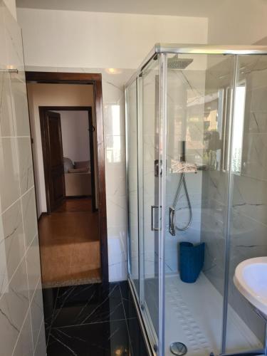 a bathroom with a glass shower and a sink at Bioledro - Casa Lena in Mezzolago