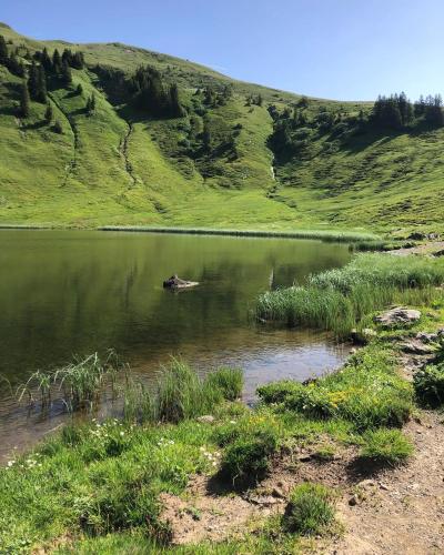 a lake with a boat in the middle of a hill at Ferienwohnungen Schantl in Schoppernau