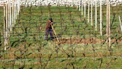 a man is standing behind a fence at Appartamento Masi in Lasino