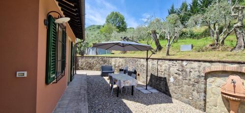 Zahrada ubytování Casa Cipressino