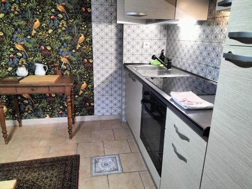 a kitchen with a sink and a wall at les hortensias La Souris Des Champs in Étival-Clairefontaine