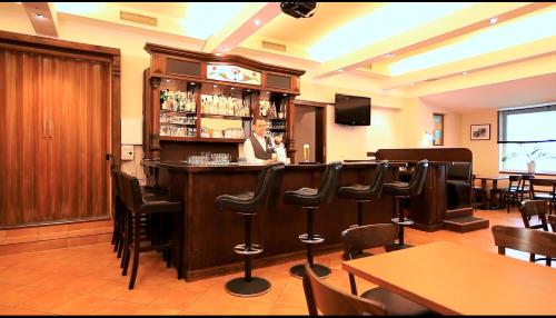 Lounge nebo bar v ubytování Hotel Royal