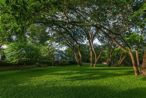 a green park with trees and green grass at Villa La Flora Kaeng Krachan in Kaeng Krachan