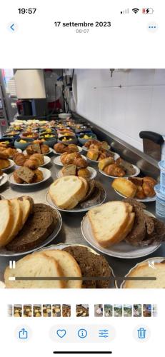 a row of plates of food on a counter at Locanda La Candola in Farra di Soligo
