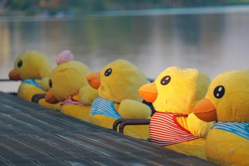 Ảnh trong thư viện ảnh của Tubtim Siam River Kwai Resort ở Kanchanaburi