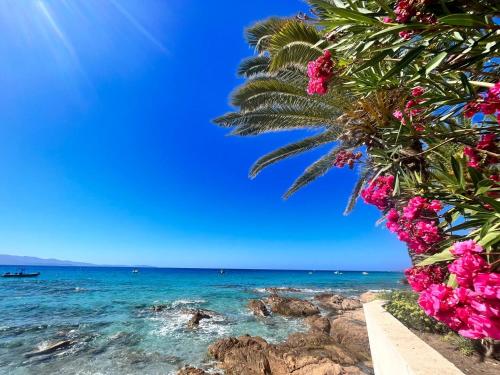 Photo de la galerie de l'établissement appartement iles sanguinaires, à Ajaccio