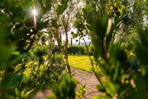 a view of a park with trees and grass at AGRITURISMO 8e28 CAPALBIO in Nunziatella