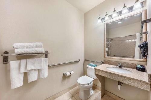 un bagno con un water, un lavandino e uno specchio di Best Western La Grange Inn & Suites a La Grange