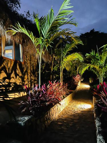 a garden with palm trees and plants next to a building at Colibri Parque Tayrona Dentro del Parque Nacional Tayrona in El Zaino